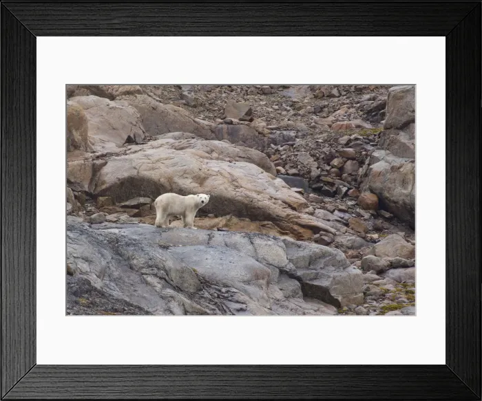 Framed Print : DDE-90028605 Framed Print : DDE-90028605