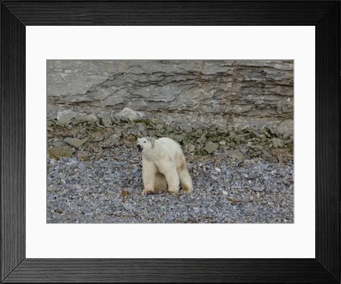 Framed Print : DDE-90028606