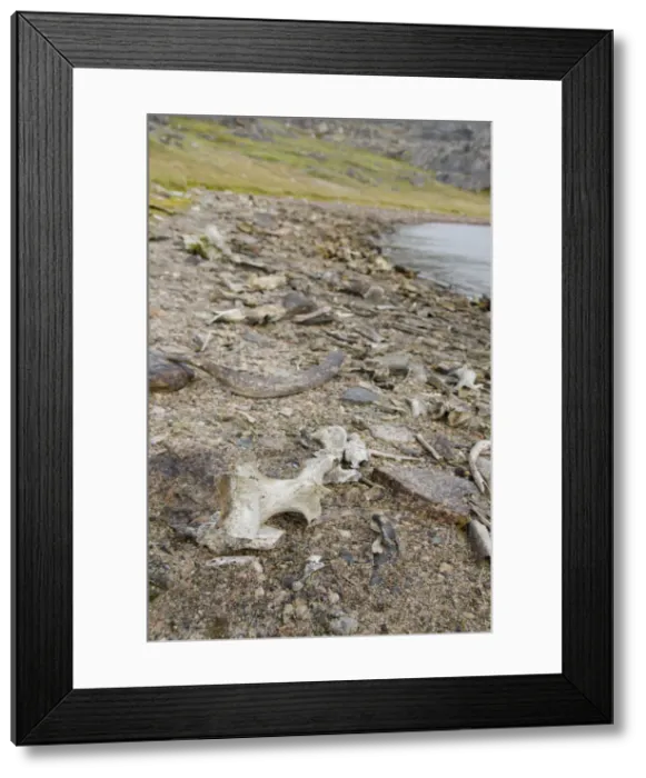 Framed Print : DDE-90028609 Framed Print : DDE-90028609