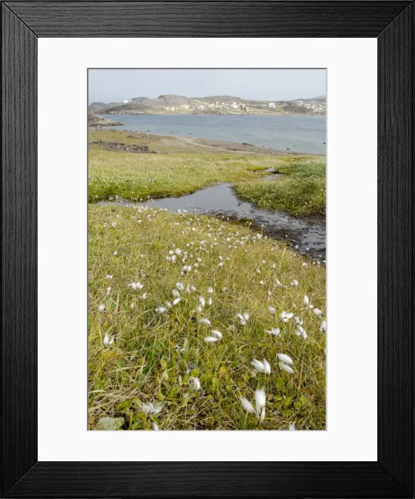 Framed Print : DDE-90028610 Framed Print : DDE-90028610
