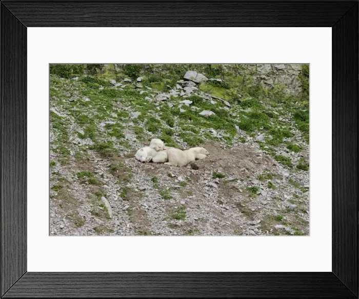 Framed Print : DDE-90028617 Framed Print : DDE-90028617