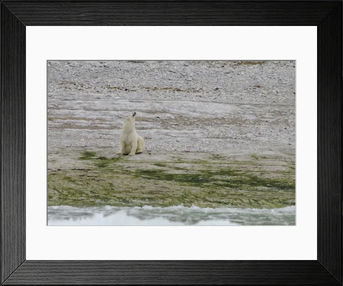 Framed Print : DDE-90028618