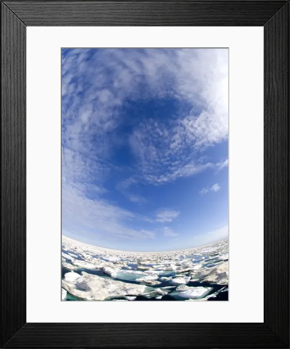 Framed Print : DDE-90028625 Framed Print : DDE-90028625