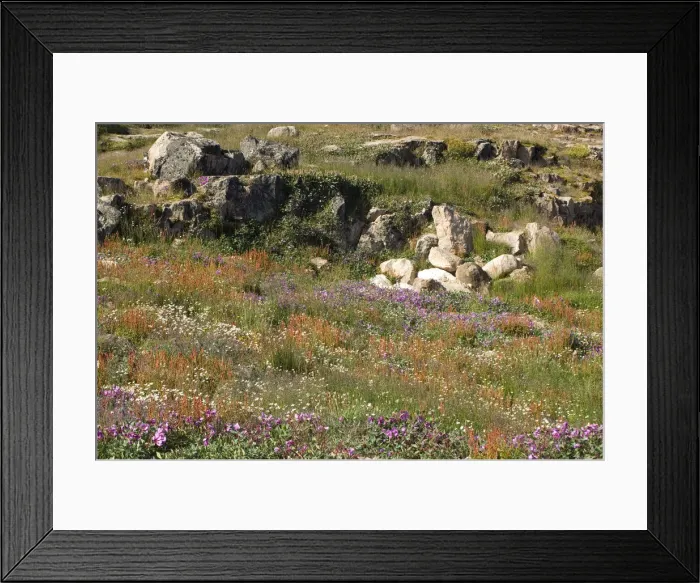 Framed Print : DDE-90028630 Framed Print : DDE-90028630