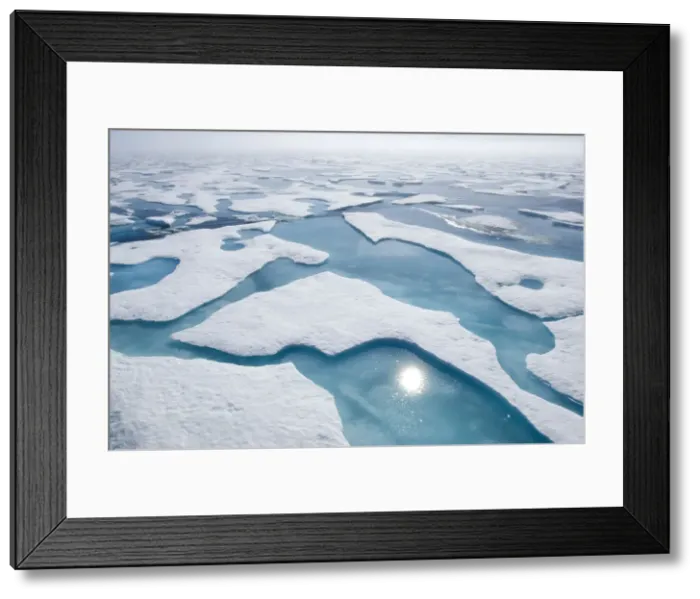 Framed Print : DDE-90028634