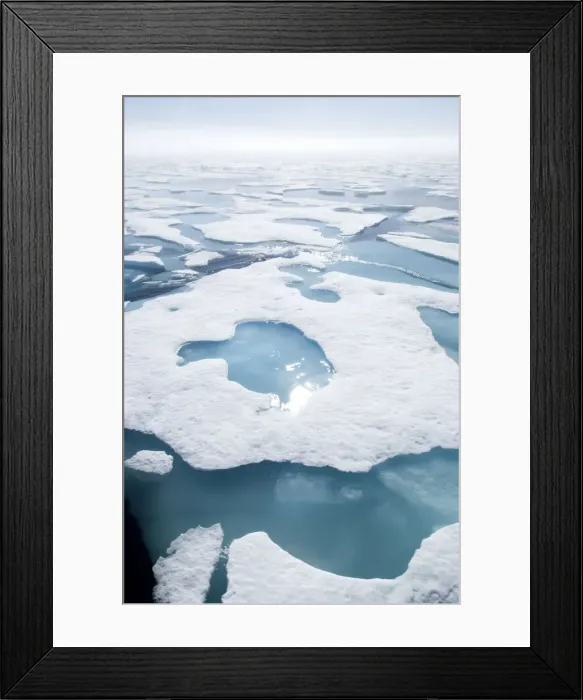 Framed Print : DDE-90028635 Framed Print : DDE-90028635