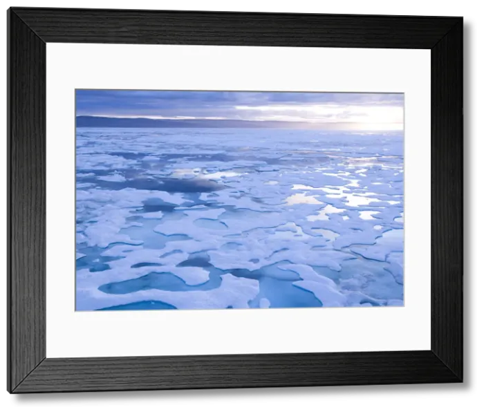 Framed Print : DDE-90028637 Framed Print : DDE-90028637
