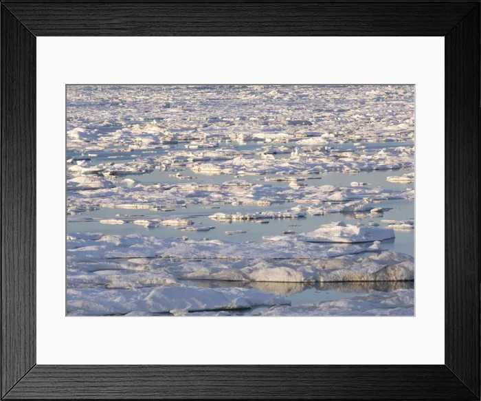 Framed Print : DDE-90028639 Framed Print : DDE-90028639