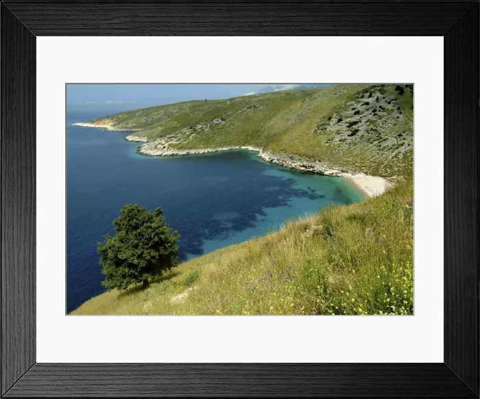 Framed Print : DDE-90028644 Framed Print : DDE-90028644