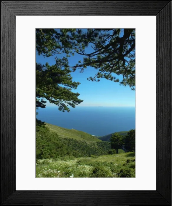 Framed Print : DDE-90028646 Framed Print : DDE-90028646