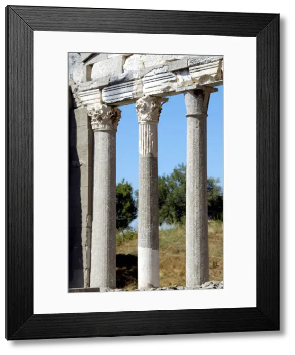 Framed Print : DDE-90028679 Framed Print : DDE-90028679
