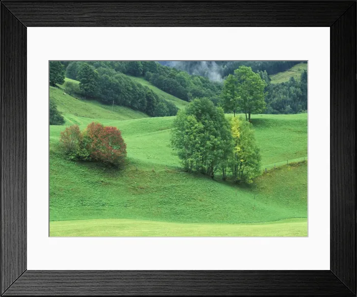 Framed Print : DDE-90028686 Framed Print : DDE-90028686