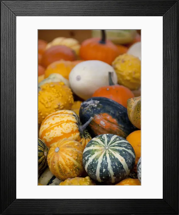 Framed Print : DDE-90028699 Framed Print : DDE-90028699