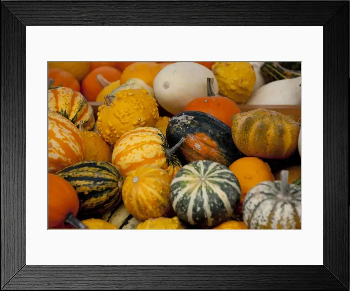 Framed Print : DDE-90028698 Framed Print : DDE-90028698