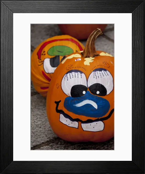 Framed Print : DDE-90028700 Framed Print : DDE-90028700