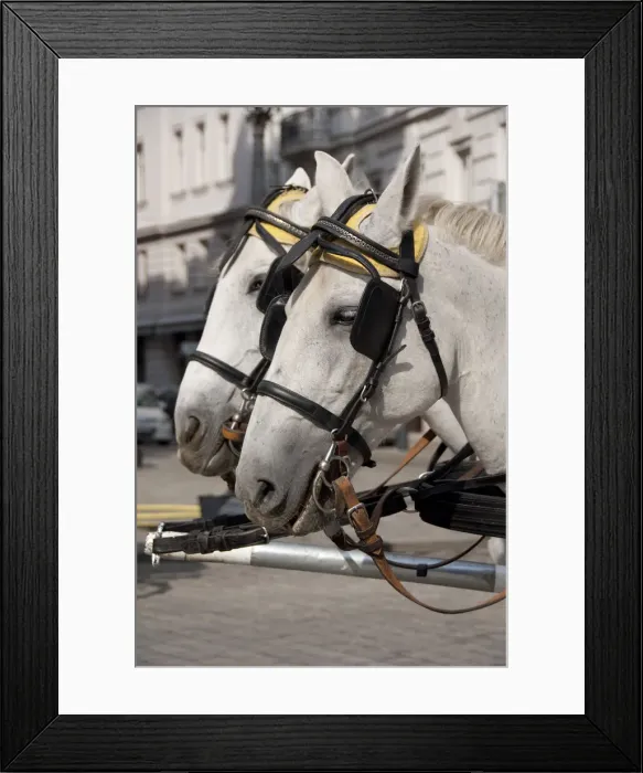 Framed Print : DDE-90028704 Framed Print : DDE-90028704