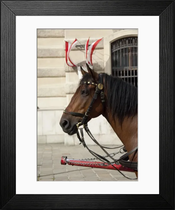 Framed Print : DDE-90028705
