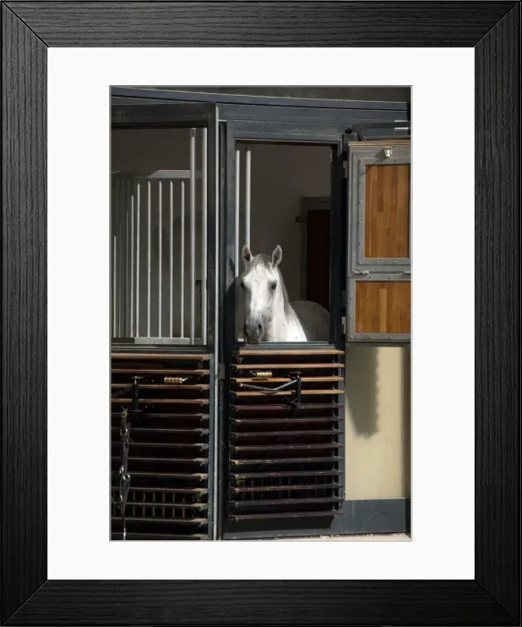 Framed Print : DDE-90028707