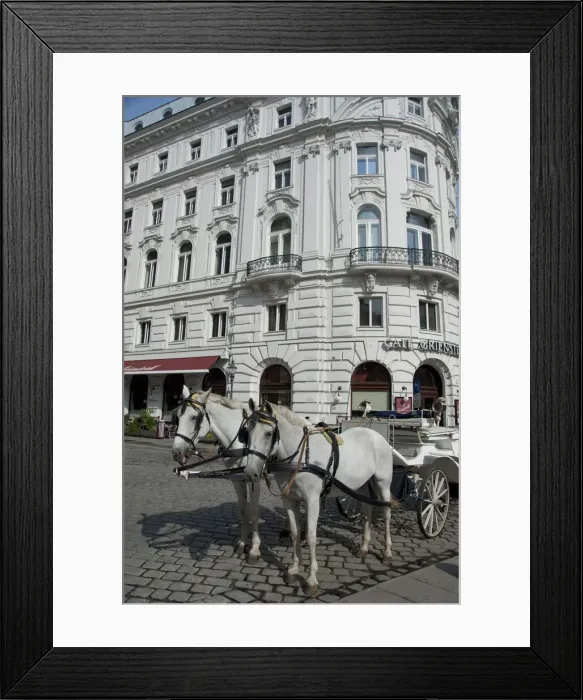 Framed Print : DDE-90028706