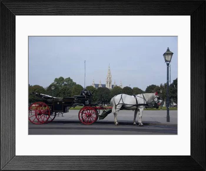 Framed Print : DDE-90028708 Framed Print : DDE-90028708