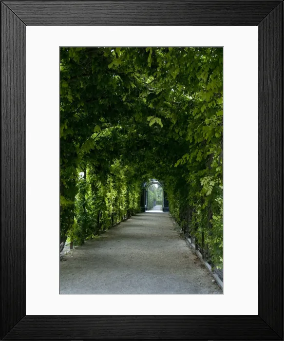 Framed Print : DDE-90028717 Framed Print : DDE-90028717