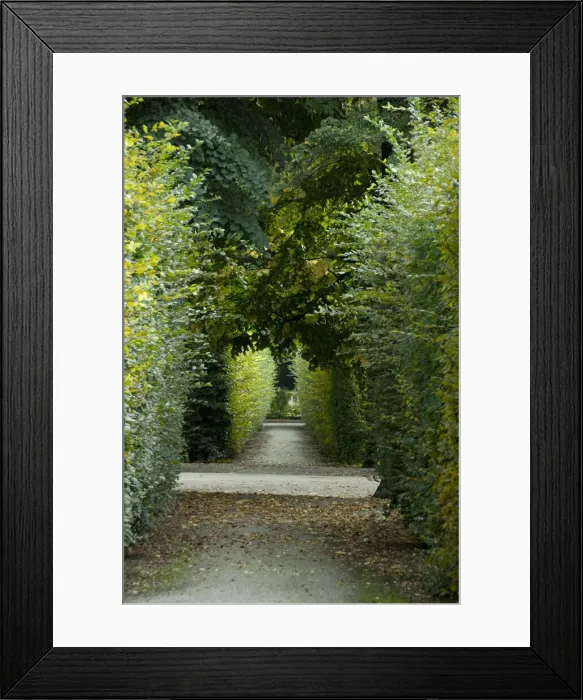 Framed Print : DDE-90028716 Framed Print : DDE-90028716