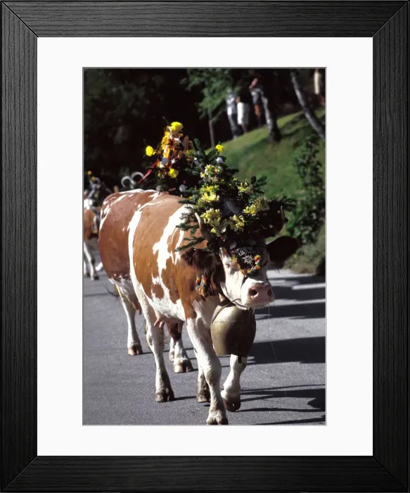 Framed Print : DDE-90028726