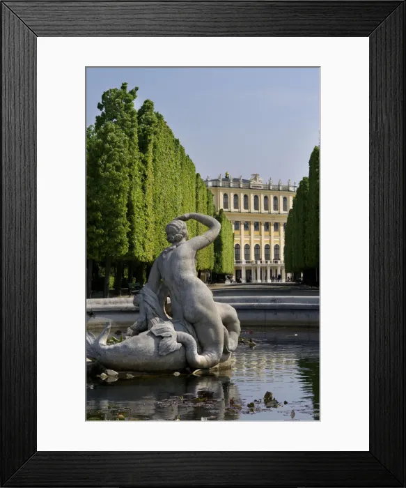 Framed Print : DDE-90028737 Framed Print : DDE-90028737
