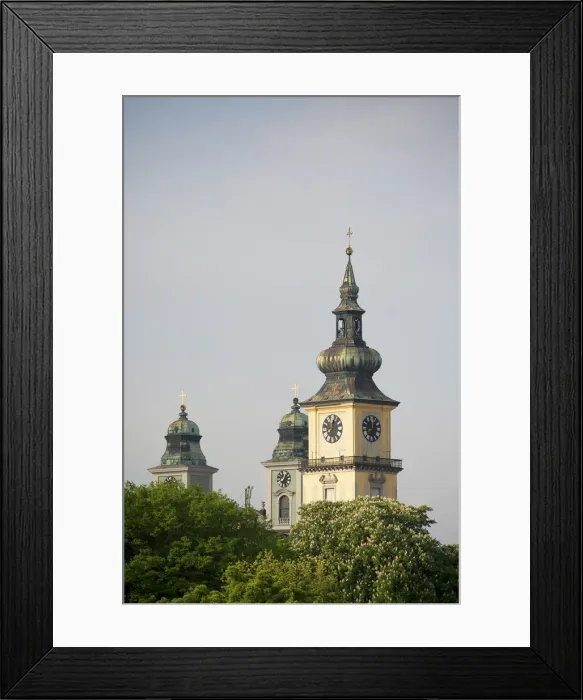 Framed Print : DDE-90028738 Framed Print : DDE-90028738