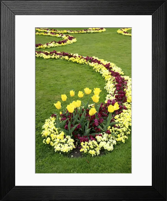 Framed Print : DDE-90028741 Framed Print : DDE-90028741