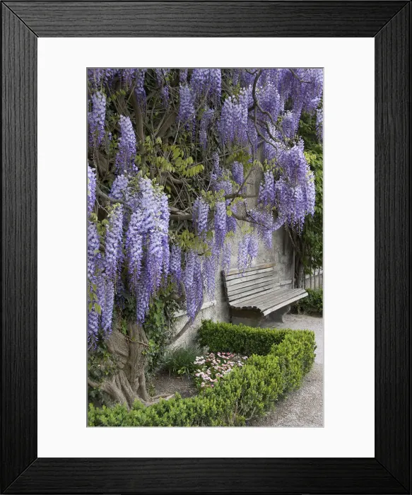 Framed Print : DDE-90028750 Framed Print : DDE-90028750