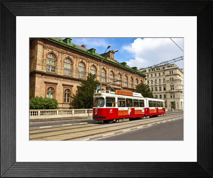 Framed Print : DDE-90028758