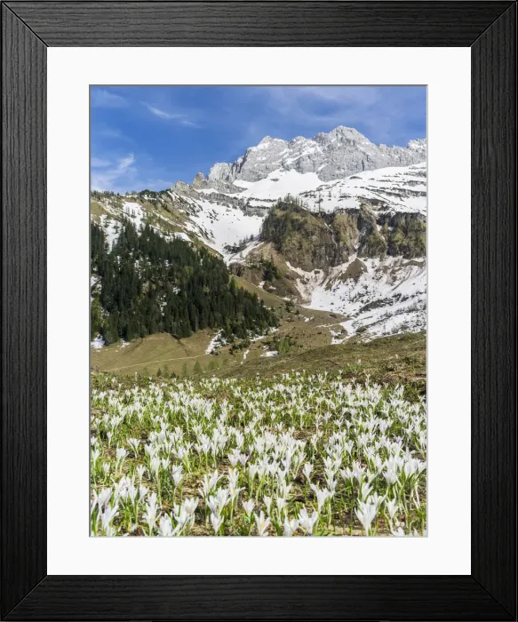 Framed Print : DDE-90028767 Framed Print : DDE-90028767