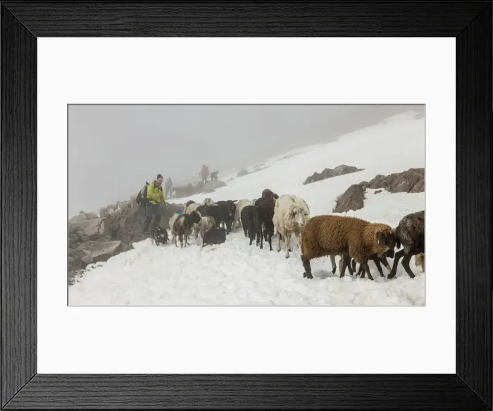 Framed Print : DDE-90028769 Framed Print : DDE-90028769