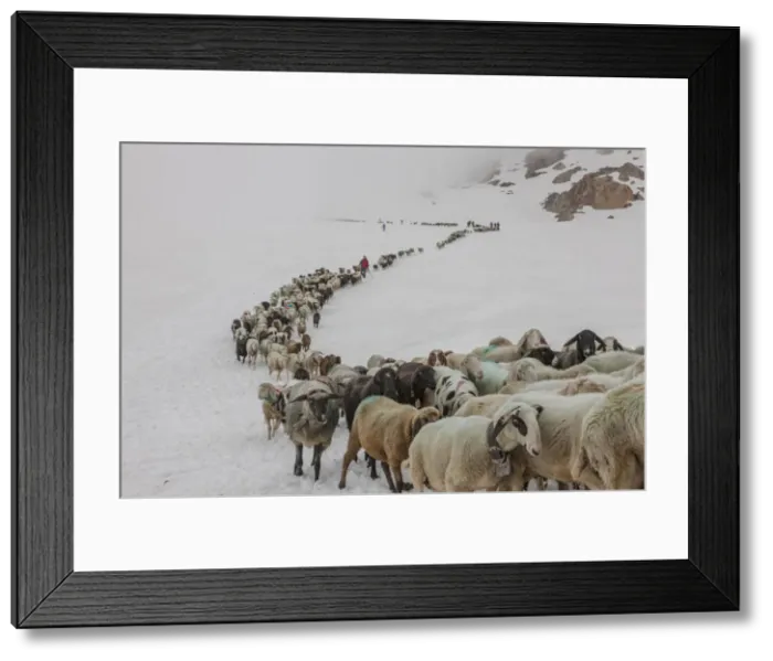 Framed Print : DDE-90028772 Framed Print : DDE-90028772