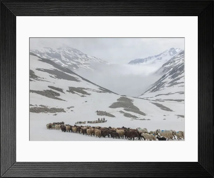 Framed Print : DDE-90028774 Framed Print : DDE-90028774