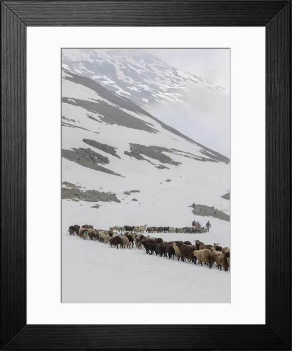 Framed Print : DDE-90028773