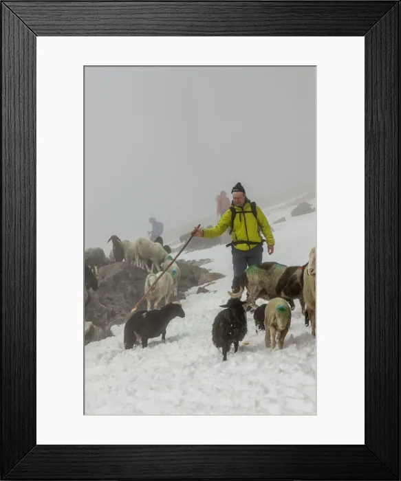 Framed Print : DDE-90028775 Framed Print : DDE-90028775
