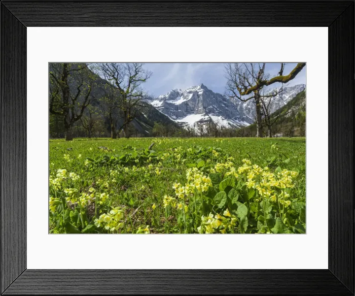 Framed Print : DDE-90028777 Framed Print : DDE-90028777