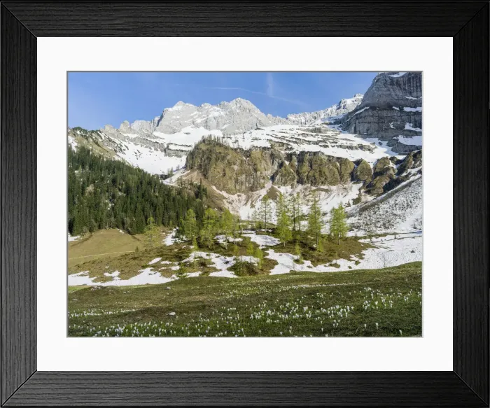 Framed Print : DDE-90028779 Framed Print : DDE-90028779