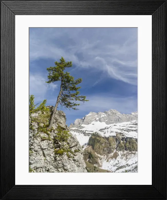 Framed Print : DDE-90028780 Framed Print : DDE-90028780