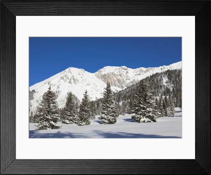 Framed Print : DDE-90028781 Framed Print : DDE-90028781