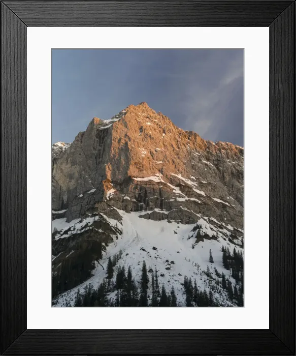Framed Print : DDE-90028782