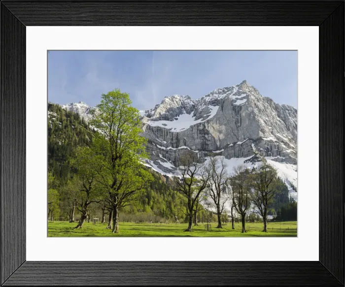 Framed Print : DDE-90028789