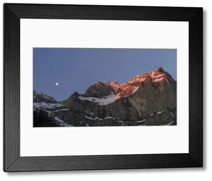 Framed Print : DDE-90028799 Framed Print : DDE-90028799
