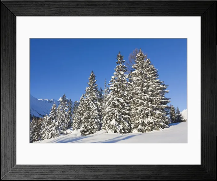 Framed Print : DDE-90028801 Framed Print : DDE-90028801