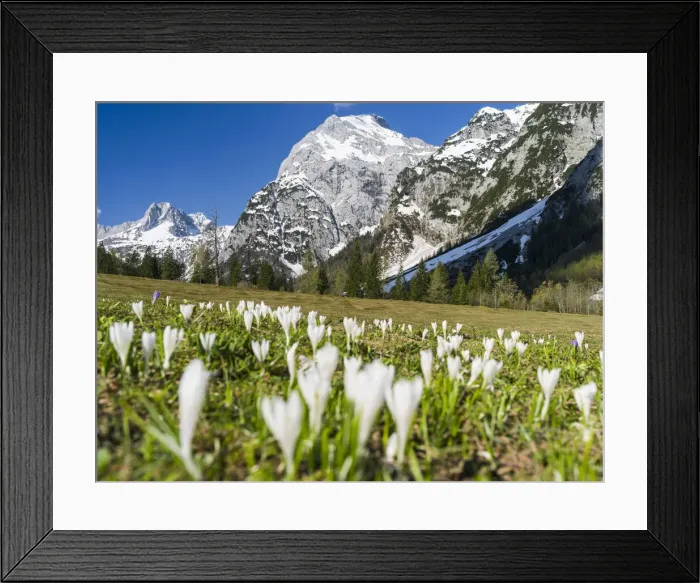 Framed Print : DDE-90028806 Framed Print : DDE-90028806