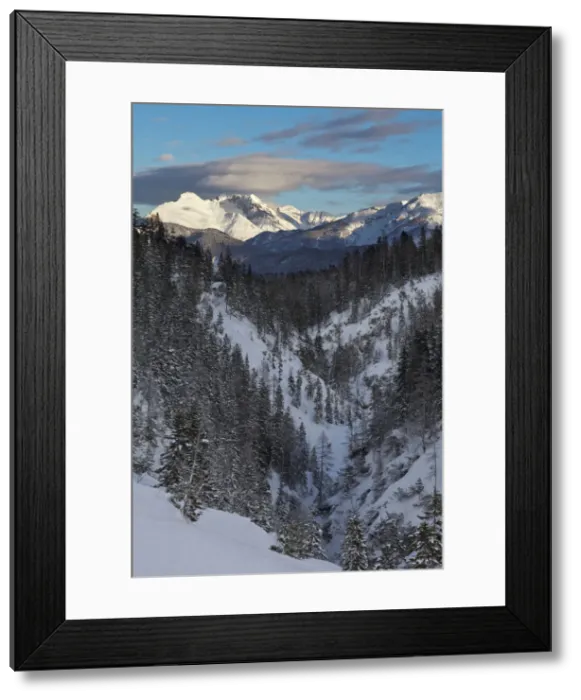 Framed Print : DDE-90028807 Framed Print : DDE-90028807
