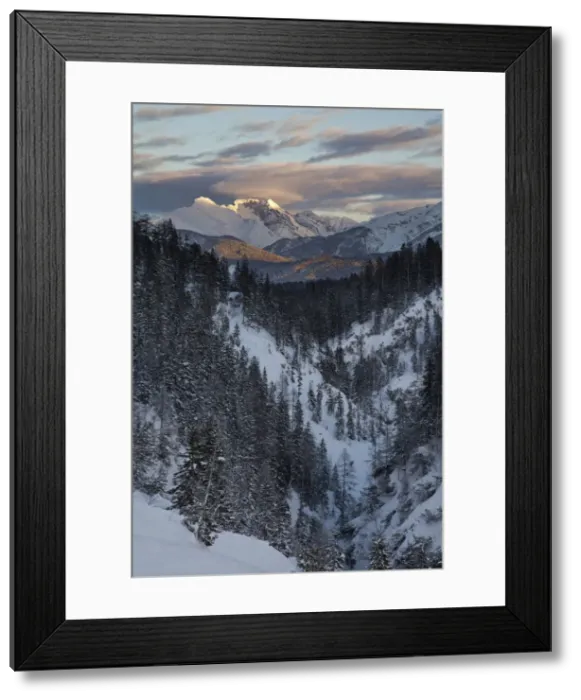 Framed Print : DDE-90028808