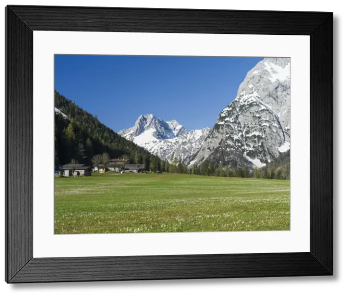 Framed Print : DDE-90028809 Framed Print : DDE-90028809